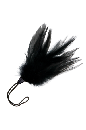 img 111286 dc85a3ded2698b1e003a32efc3876f7e 1