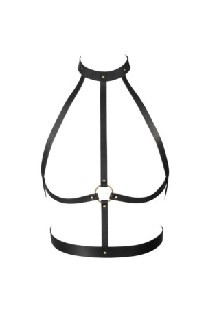 img 47547 e9db481ac11c66c8f8d44e00dcc9af9a 1