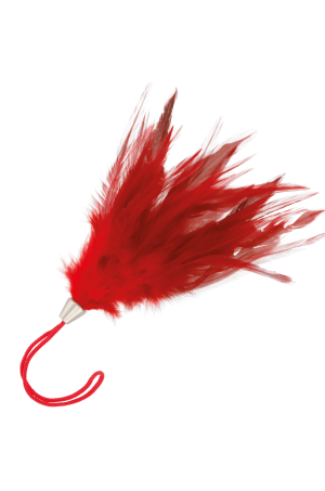 img 78834 5a3e189774bb13f42f359b9623b0c69a 1