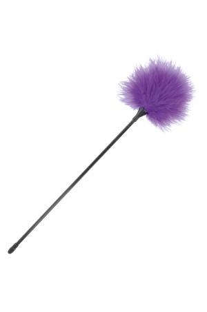 img 78836 866b4127d772498e9ea4cba612cb3f11 1