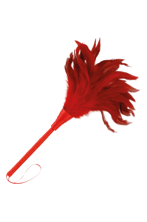 img 78848 00a1a47b933e333838a6f8e3d48cd345 1