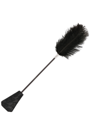 img 78856 b0aa7c87890b7dab8f5bca0473eab414 1