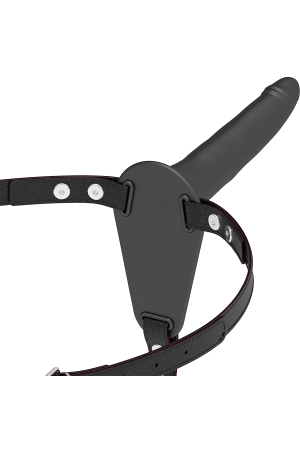 img 79252 9855ee55694ad05038932fe3f6686942 1