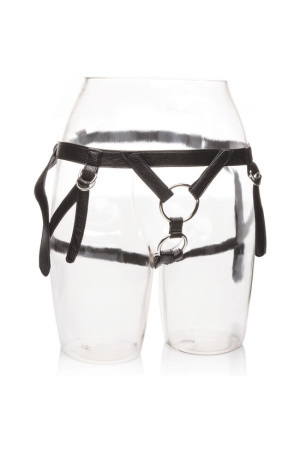 img 88998 b1db168ab78ed56a09530a8dc03444c2 1