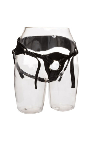 img 89001 4ea28d85303e94cf0a04b140eeaf2589 1