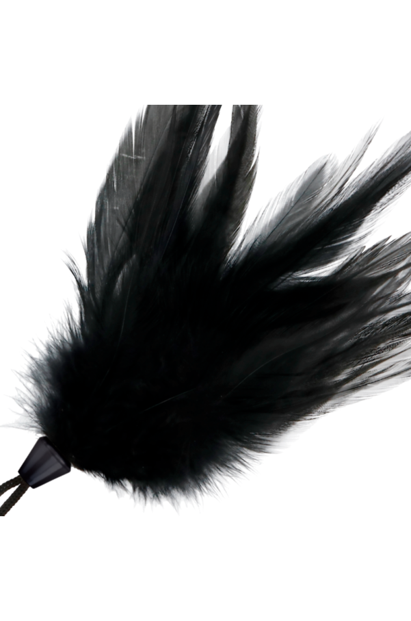 img 111285 8eef021d35f4a87a3b976c913fa49961 1