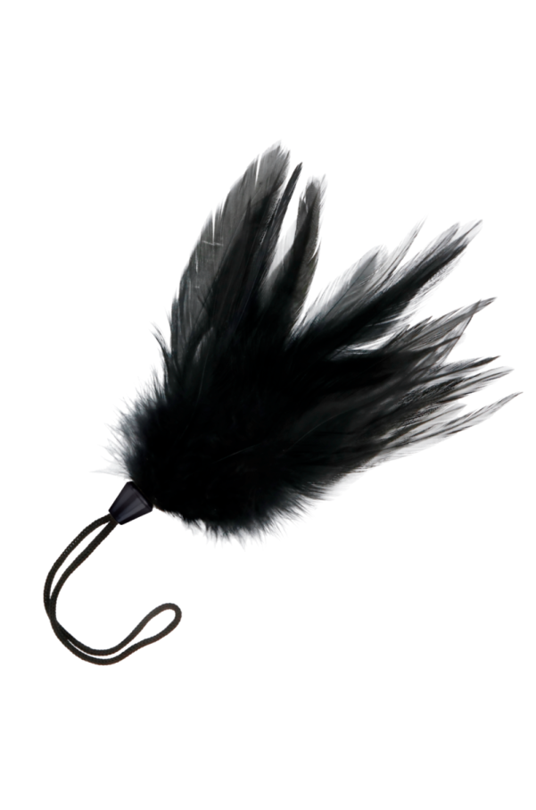 img 111286 dc85a3ded2698b1e003a32efc3876f7e 1