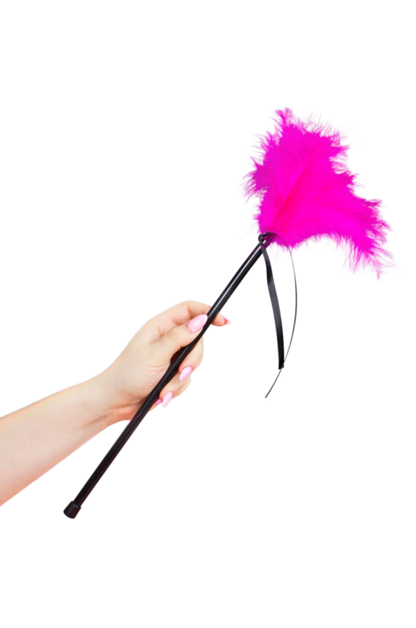 img 154832 d9508d3117e88b85e5aabe9652333560 1