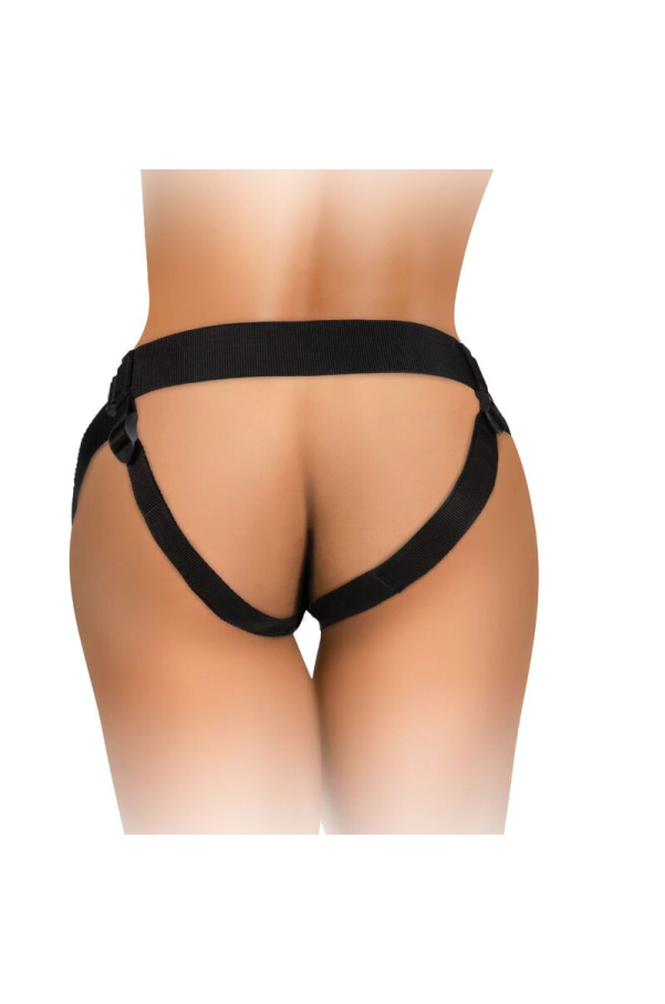 img 156264 bbeb1e17338f21204323c83f7d9ef8fb 1