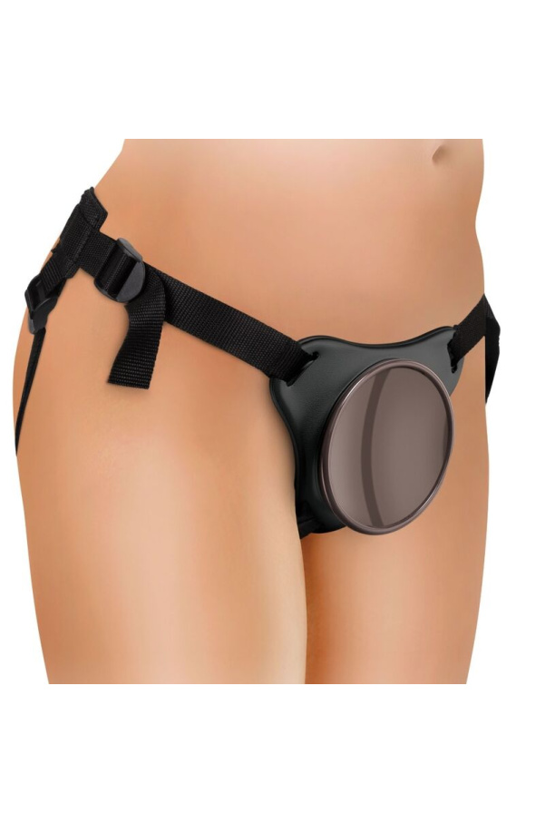 img 156271 e4aaf88f4aa13fc1b0dd569555ba7a2a 1