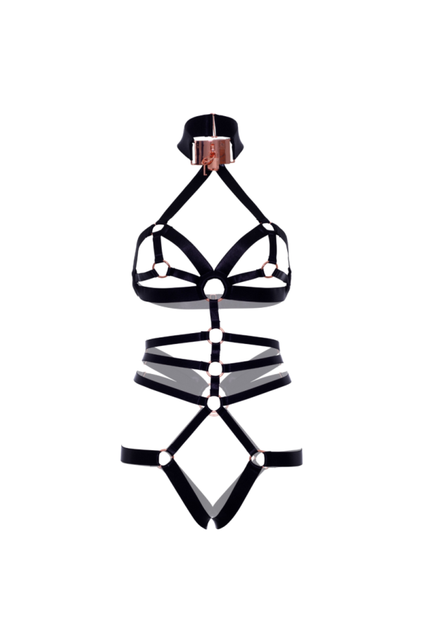 img 167713 58fb09084f342a5e3c9e368833754de5 1