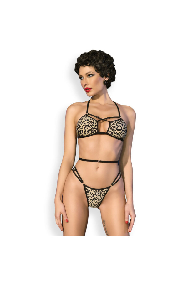 img 172989 cc0469ff377bc558fdfabf03bb11fd51 1