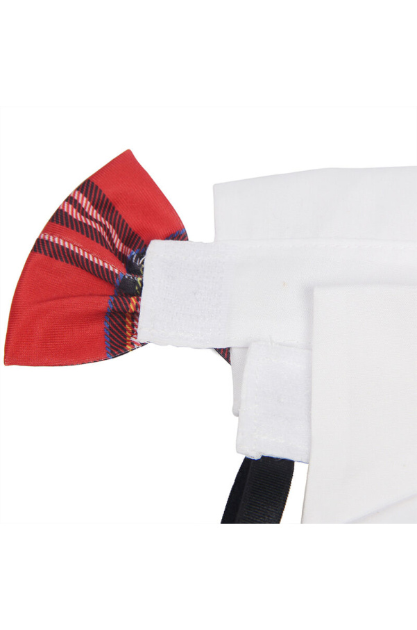 img 175595 2d8777a9b3c777006c465cf376601335 1