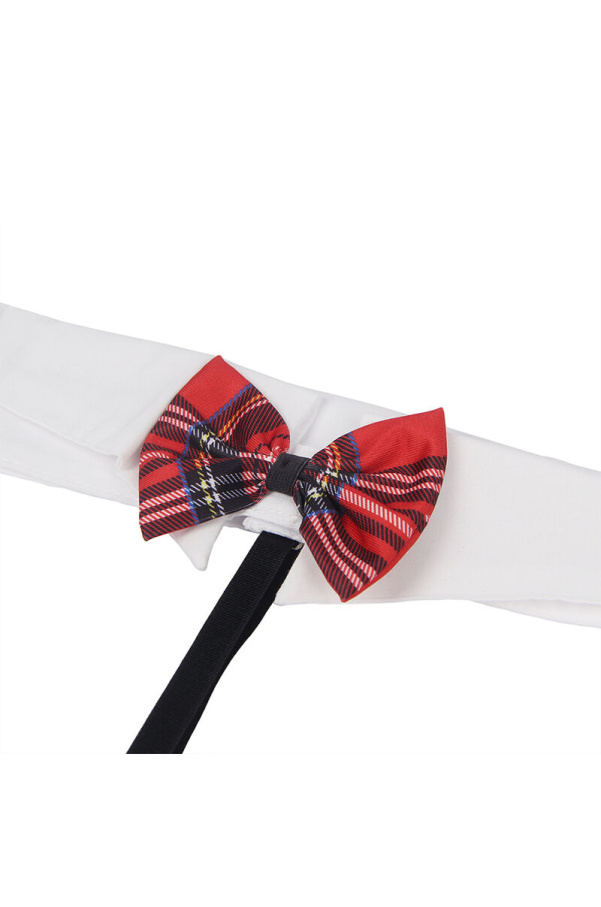 img 175601 efeaf7ab0979964a106b687504fb1345 1