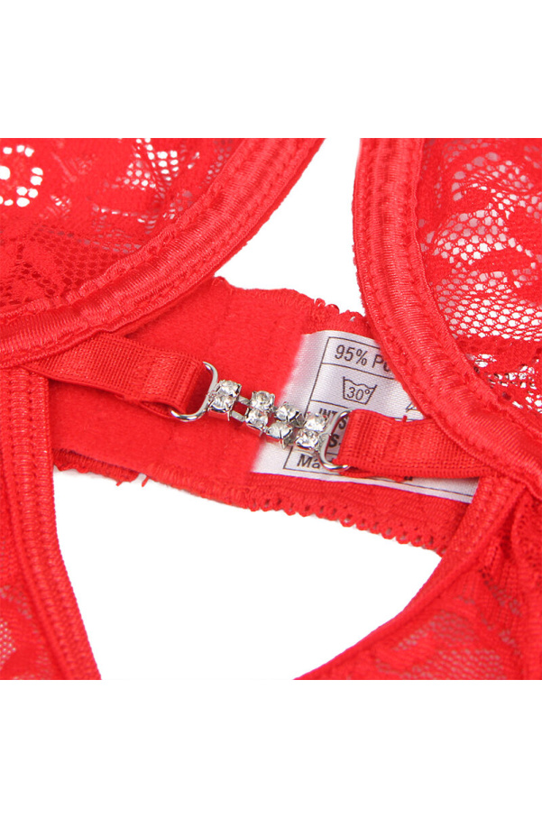 img 194827 ebbfbd42694e59a1124c824a0cd4435d 1