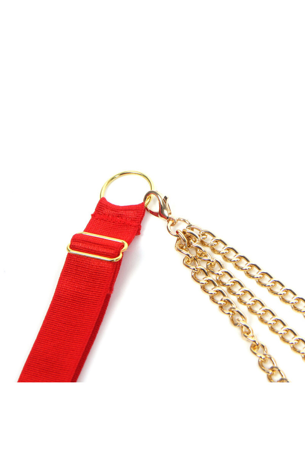 img 200477 623e77a942f6e79f622af5cd26454c56 1