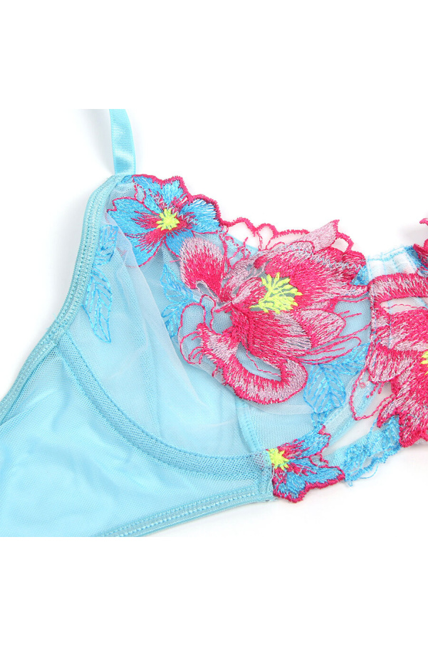 img 203556 715d500321c222c4dacd47779e46ec3a 1