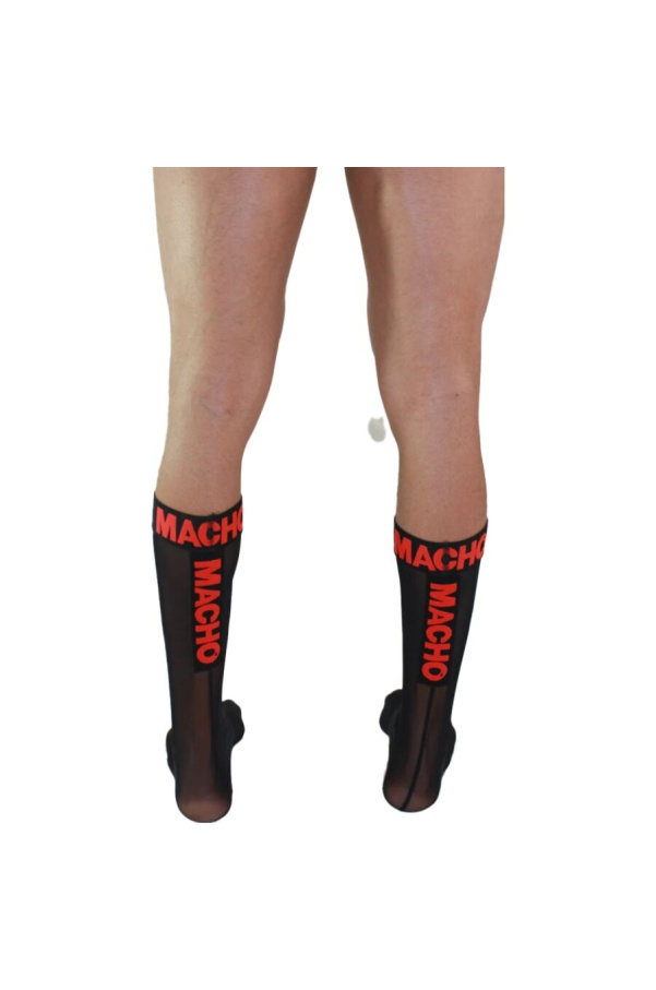 img 204780 8d902eb52df49a8334eb68eb011f2472 1