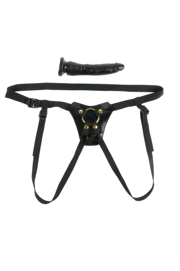 img 21727 0d1779fd7ab079abc6e5f71db7cdc3eb 1