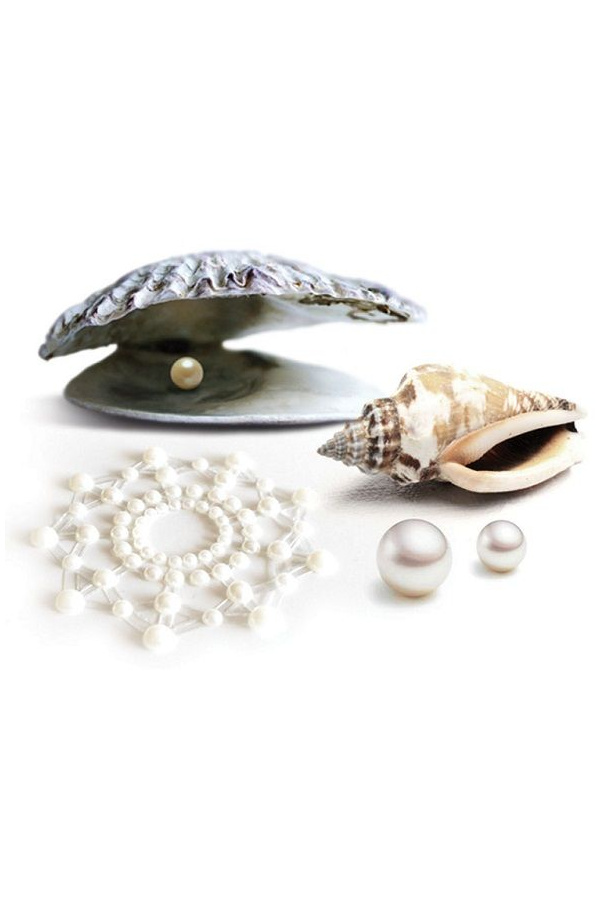 img 27757 e8d1529b3d8cb97fb667ab522b69187c 1