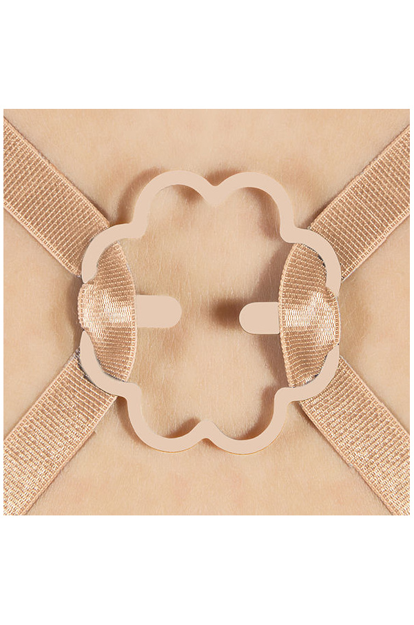 img 70905 e5fe8d3ce985f85e30590cfe76bbed64 1