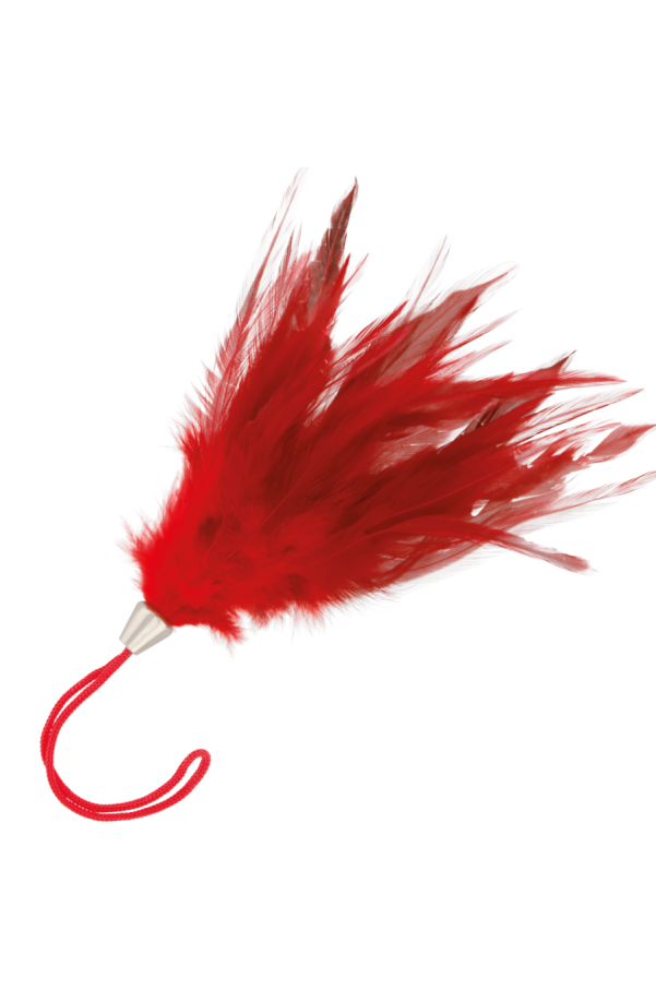 img 78834 5a3e189774bb13f42f359b9623b0c69a 1