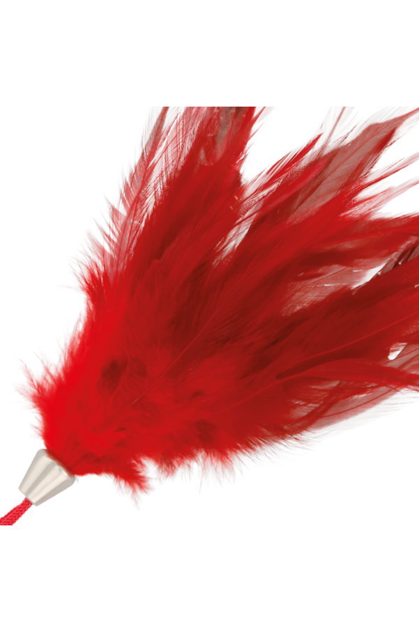 img 78835 817e998658ca295594650a2f9db1f418 1