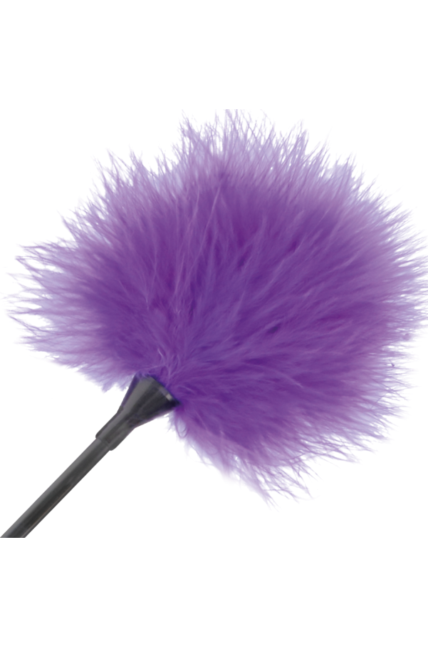 img 78837 8572b8d4cf3f3c256d5f666bf7a53d3c 1