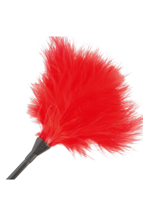 img 78841 de7d0ddffd084e436c9ff5bdcd224c48 1