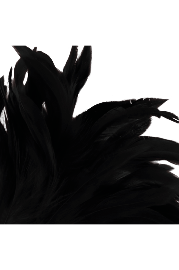 img 78844 23e194ca33a2704108287d0b90887c34 1