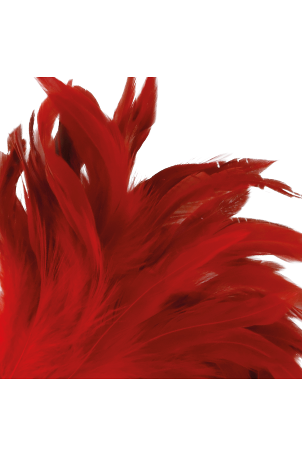 img 78847 8da8edebee80bdfce276b56cf6c98273 1