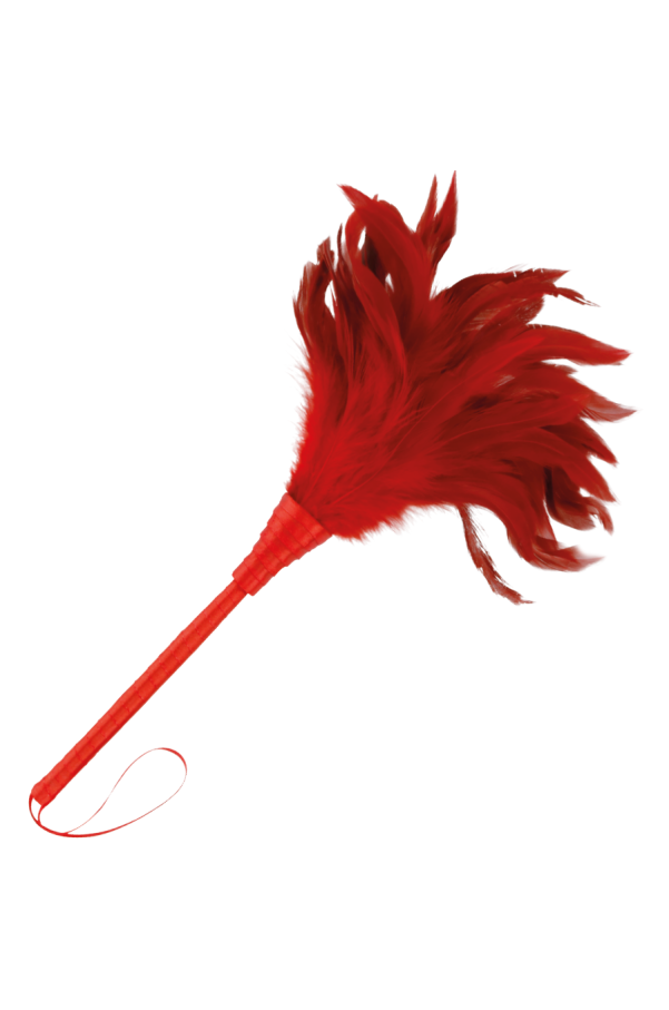 img 78848 00a1a47b933e333838a6f8e3d48cd345 1