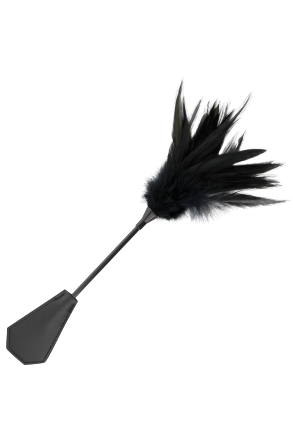 img 78854 f568f0b2f7d116d30c71ec0c20b72db8 1