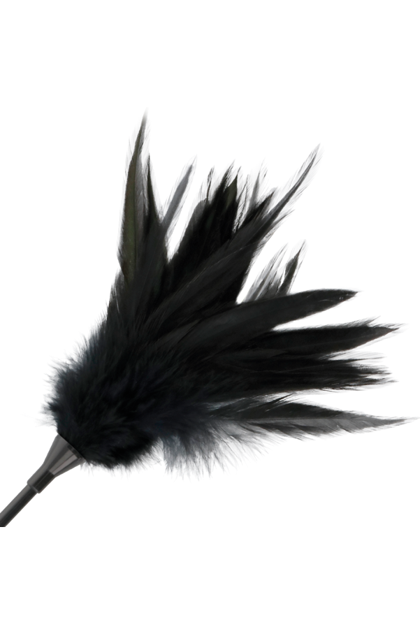 img 78855 7b83b25316070a88647c9eadae23b63e 1