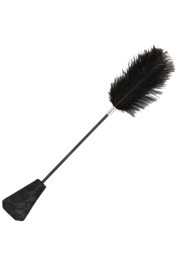 img 78856 b0aa7c87890b7dab8f5bca0473eab414 1