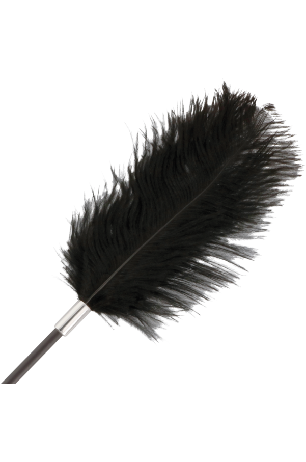 img 78857 efe38955f1c711488f1cf3848ed687ca 1