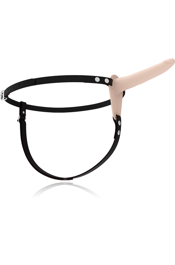 img 79246 013d2c90b22cd676ea2fd4cb38506313 1