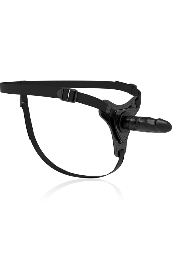 img 79321 353378b147551a362fd62dd9989b06ab 1