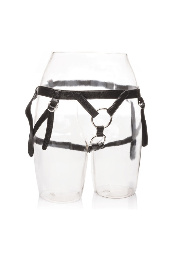 img 88998 b1db168ab78ed56a09530a8dc03444c2 1