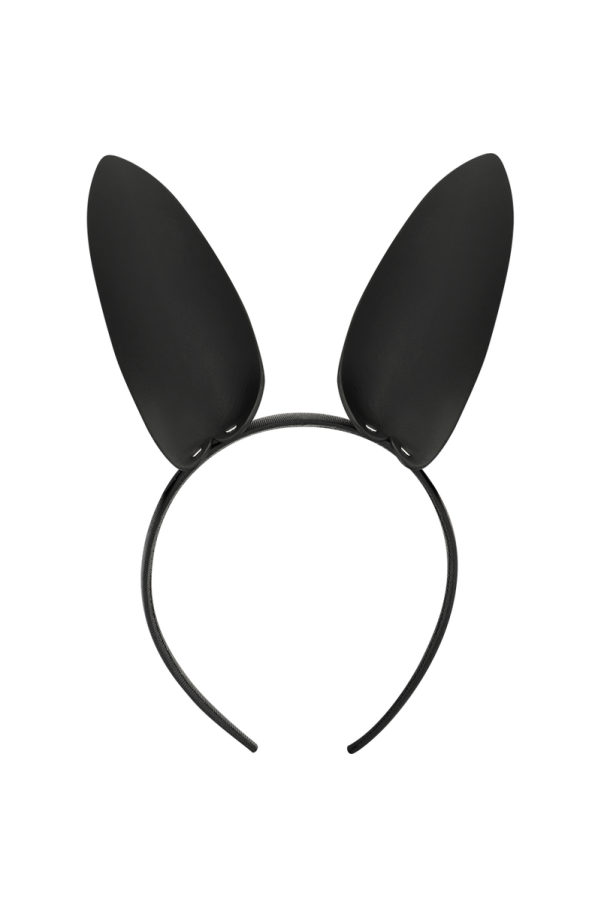 img 94616 437ff457928b44915eab8ccec4f16386 1